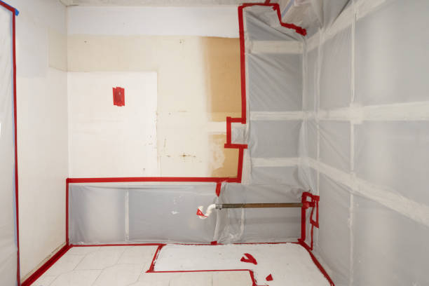 Best Basement Mold Removal  in Estancia, NM