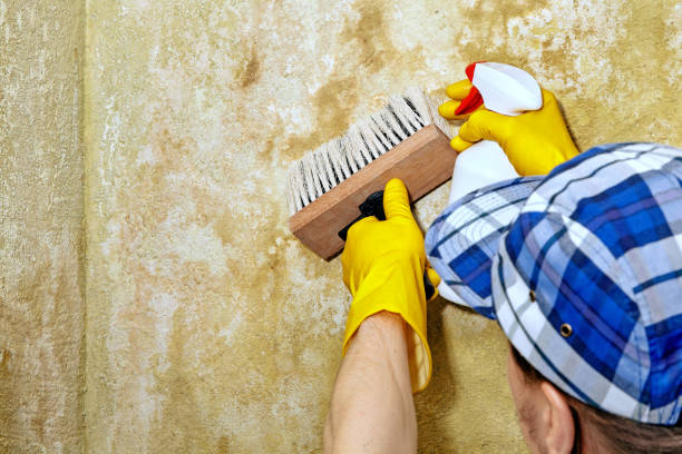 Best Residential Mold Inspection & Testing  in Estancia, NM